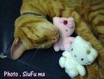 dsc00389