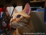 dsc03329
