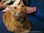 dsc03436