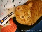 dsc03566