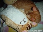 dsc03750