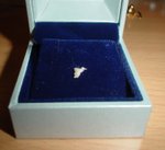 瓜子甩出來的牙仔