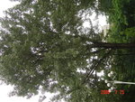 DSC02688