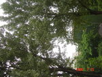 DSC02689