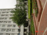 DSC02693