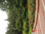 DSC02694