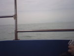 P05-20-06_10.47[1]