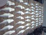 P05-20-06_11.47[1]