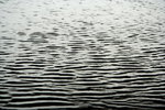 IMG_0970_resize