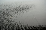 IMG_0973_resize