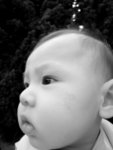 SAM_0214
