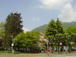 DSC03500
