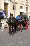PICT0170