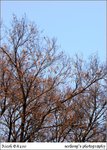 R0010127