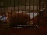 DSCF3584