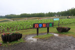 IMG_0049a