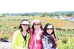 IMG_0108a