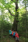 IMG_0211a