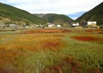 雲南
