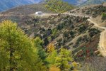 IMG_0042