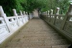 IMG_2069