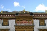 IMG_9377