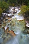 IMG_9381