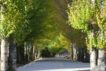 IMG_9707