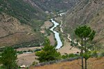 IMG_9903