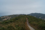 SY_82