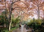 成都望江公園
A0
