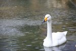 IMG_0927_resize