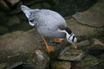 IMG_0936_resize
