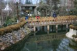 IMG_0939_resize