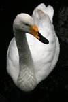 IMG_0965_exposure_resize