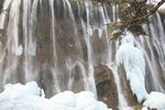 IMG_0989_resize