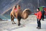 IMG_1911_resize