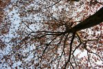 IMG_2690_resize