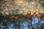 IMG_2695_resize
