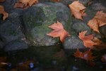 IMG_2698_resize