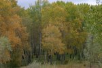 IMG_0022_resize