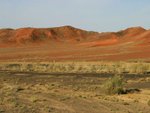 IMG_0027_resize