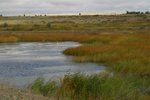 IMG_0100_resize