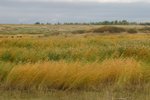 IMG_0111_resize