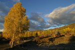 IMG_0338_resize