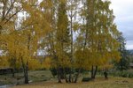 IMG_0365_resize