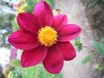 RIMG0021_resize