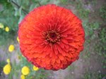 RIMG0022_resize