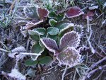 RIMG0054_resize