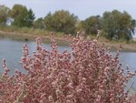 RIMG0087_resize